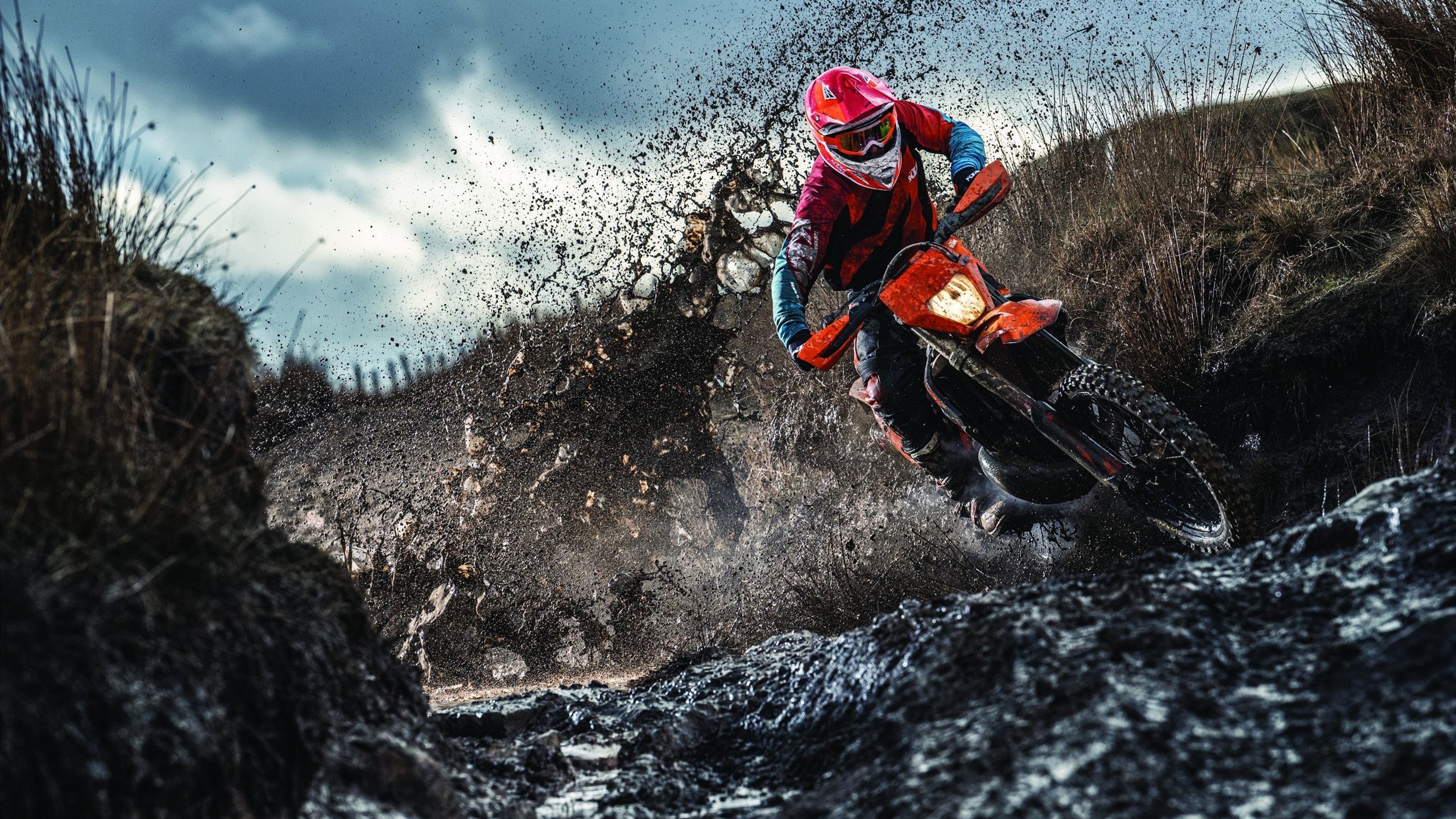 马龙神威定乾坤，波兰铁骑横扫德国创乒坛新章