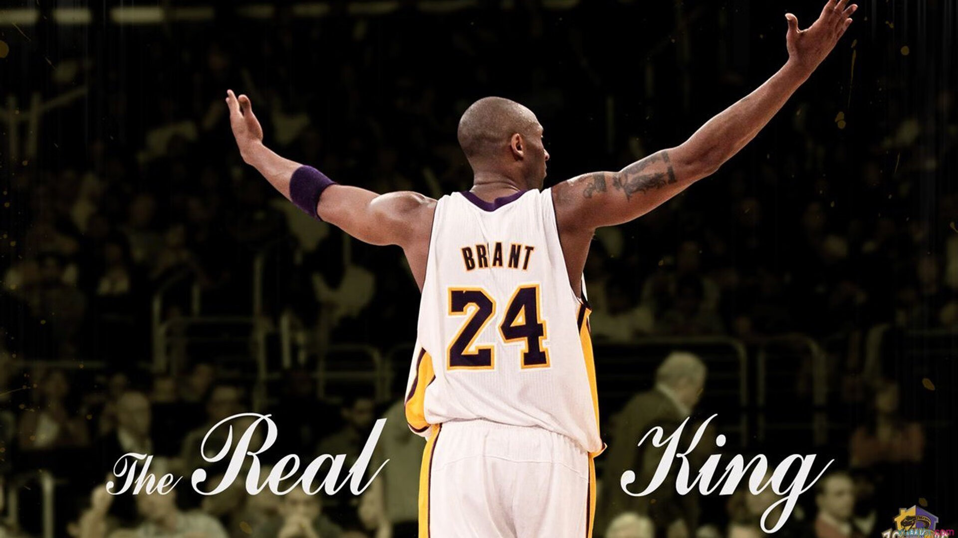 马龙神威定乾坤，波兰铁骑横扫德国创乒坛新章